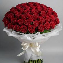 Букет 101 Красная роза Блэк Мэджик #REPLACE_PRED# Светлом