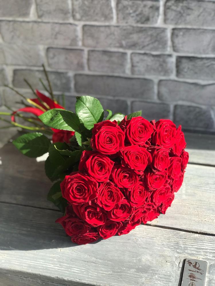 Букет Красные розы Фридом в Светлом