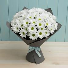 Букет цветов из:  Хризантемы #REPLACE_PRED# Светлом