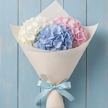 Букет цветов из:  Гортензия в Светлом