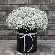 Цветочная композиция из Гипсофила в шляпной коробке в Светлом