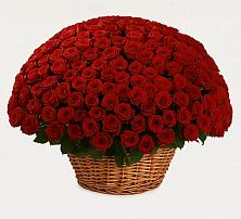 Премиум букет из: Розы в Светлом