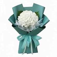 Букет цветов из:  Гортензия в Светлом